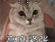 深呼吸法可解除紧张情绪-超别界度