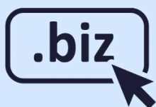 顶级国际BIZ域名的介绍-超别界度