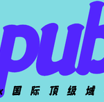 国际顶级域名.pub域名是什么域名？-超别界度